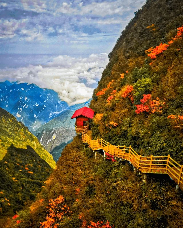 秋遊好去處，這個秋天一定要去巴山大峽谷！。