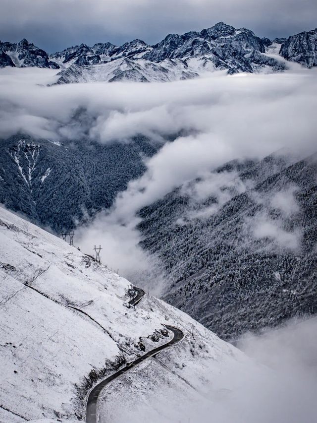 探秘巴朗山攻略大全：穿越雲海，邂逅自然奇觀之旅。