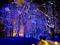 Explore the 2024 Hokkaido Snow Festivals