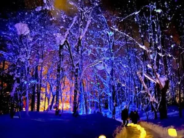 Explore the 2024 Hokkaido Snow Festivals