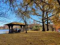 Explore the Beauty of Brooklyn's Prospect Park in Autumn