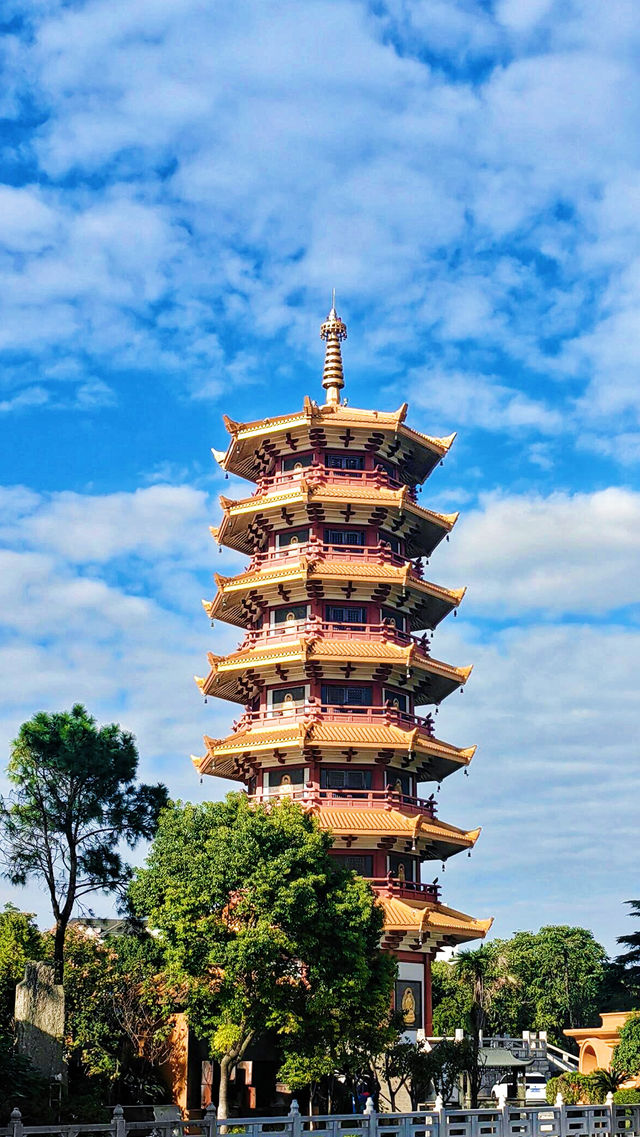 藏在上海很冷門的千年老街。