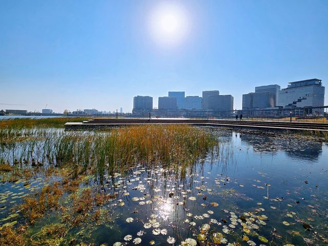 龍湖金融島——「河南陸家嘴」