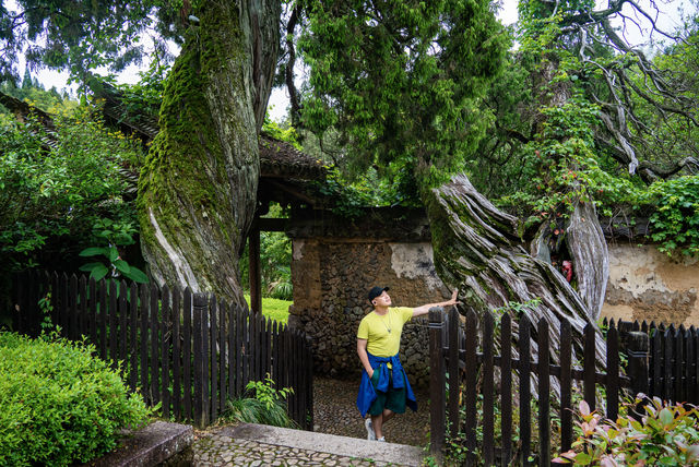 隱匿深山之中的幽靜古剎，時思寺