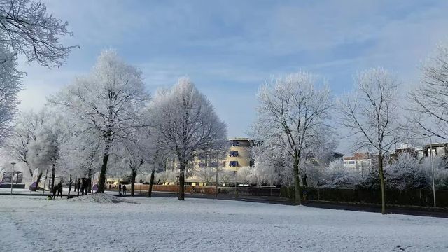 荷蘭隨手拍之冬日雪景