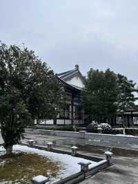 舟山2日遊 看海吃海鮮 絕了