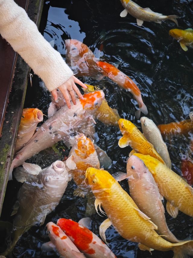 寒山寺祈福指南