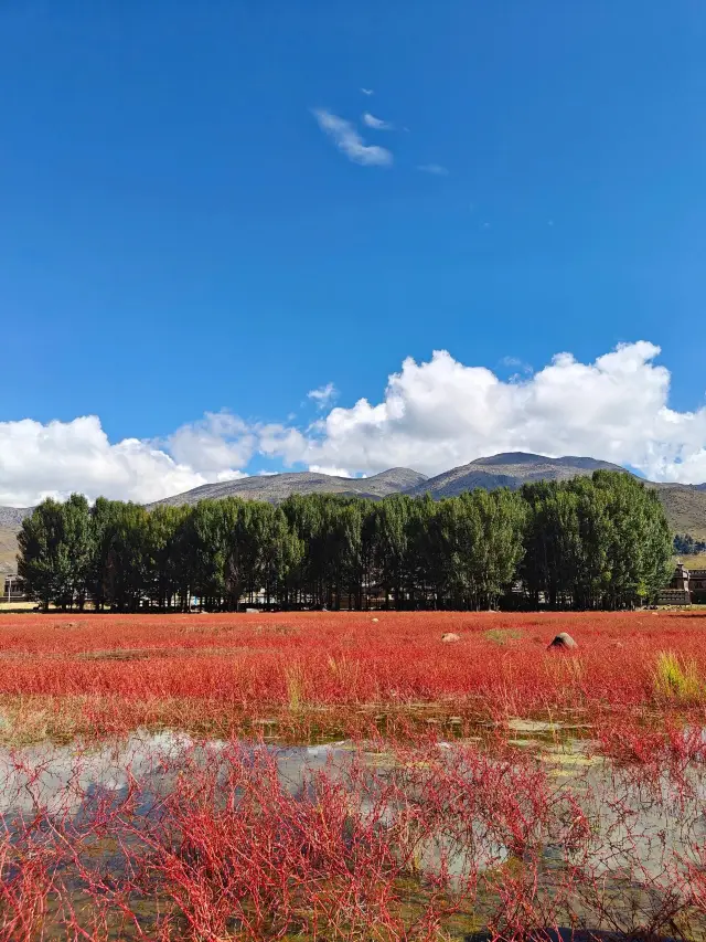 Chengdu-Daofu-Kangding 7-Day Tour: A Detailed Guide to Exploring Western Sichuan