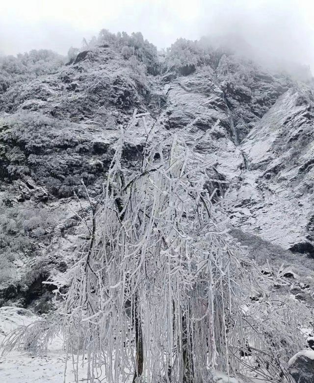 彭州燕子溝