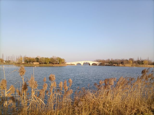 海寧鵑湖公園