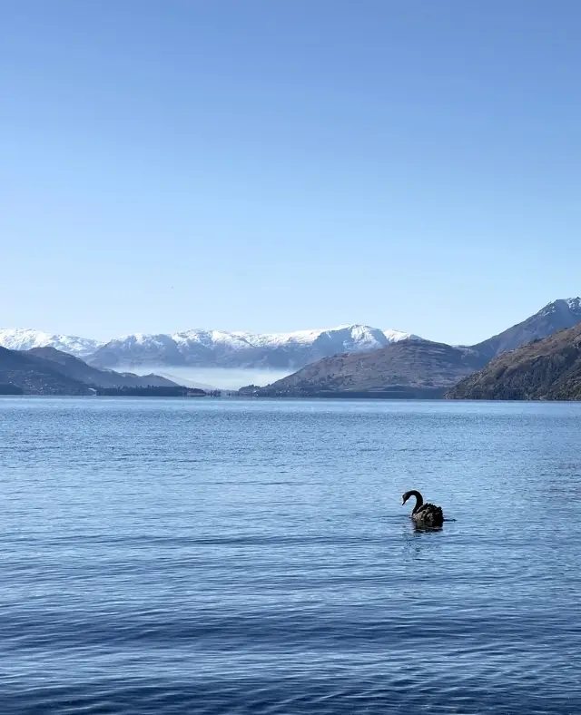Helicopter Ride in Queenstown