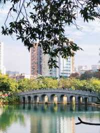 四海公園的浪漫冬日