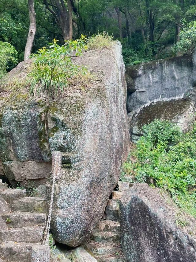 探秘連江青芝山：藏在深閨人未識的絕美仙境！