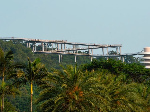高山水庫變成了湖·高空步道美景盡收