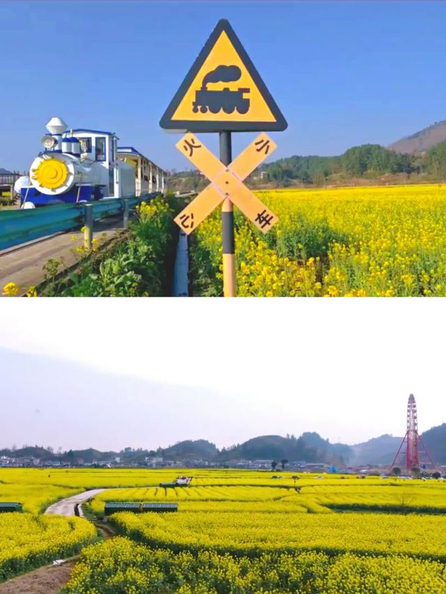 不是平坝/婺源這是離貴陽1h的賞花天堂