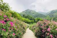 秦嶺國家植物園