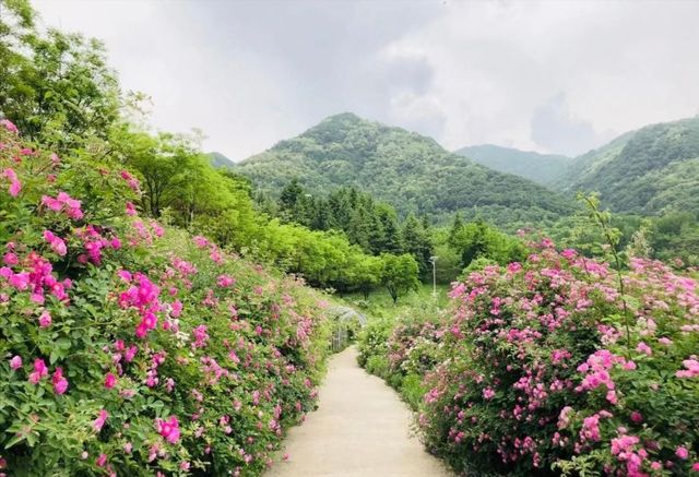 秦嶺國家植物園