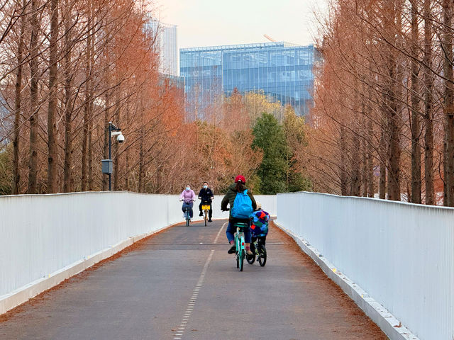 浦東濱江的Cityride，多少次都騎不夠