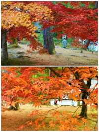 京都·南禪寺｜來京都必打卡的寶藏寺院體驗和服之美