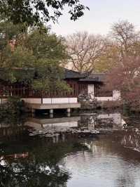拍到就是賺到西湖美景