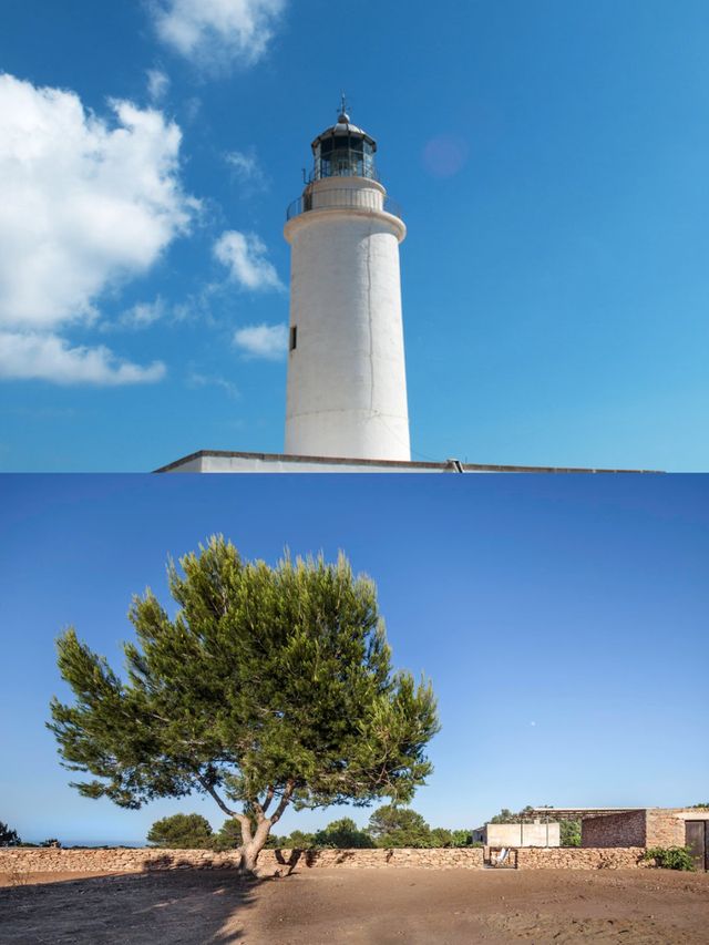 西班牙福門特拉島旅遊全攻略嚟啦！
