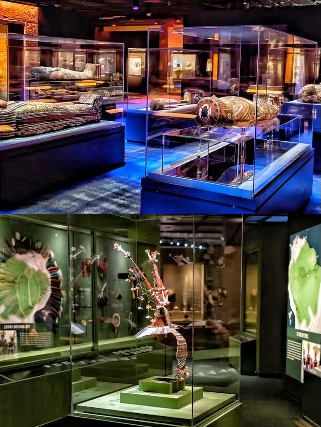 宇宙的星辰🪐休斯頓自然科學博物館