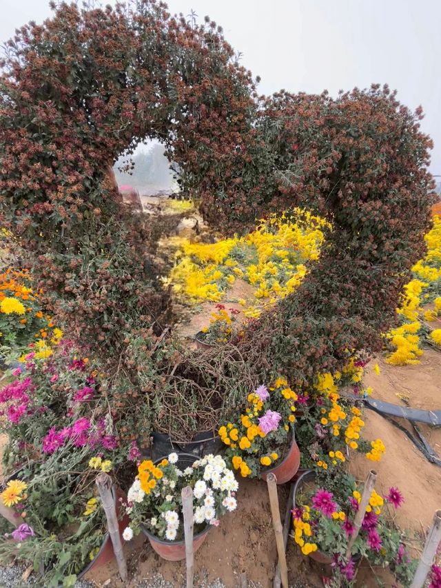 天邊花海