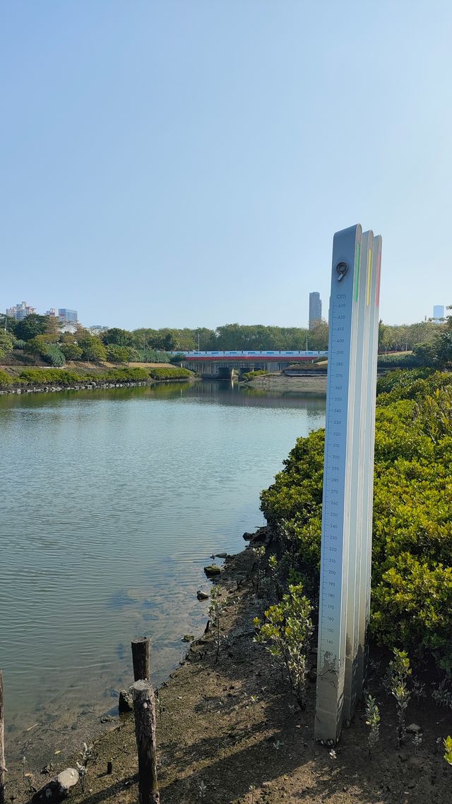 前海紫荆園