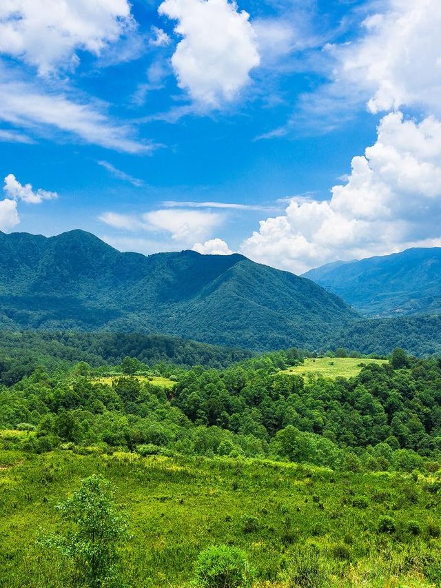 涼山-雅安3日遊 盡享溫泉之旅要去打卡點揭秘