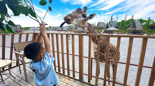 【南通森迪】住在動物園裏，來了就不想回家