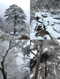 第一次來黃山，踩了許多坑