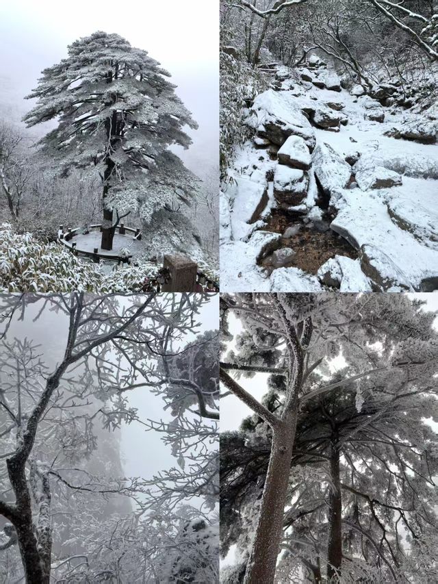 第一次來黃山，踩了許多坑