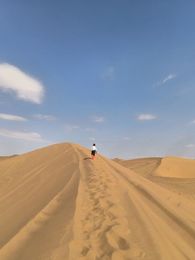 中衛 親子帶娃旅遊筆記