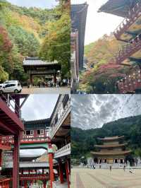 探索韓國丹陽郡救仁寺 | 心靈的寧靜之所