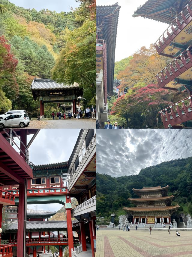 探索韓國丹陽郡救仁寺 | 心靈的寧靜之所