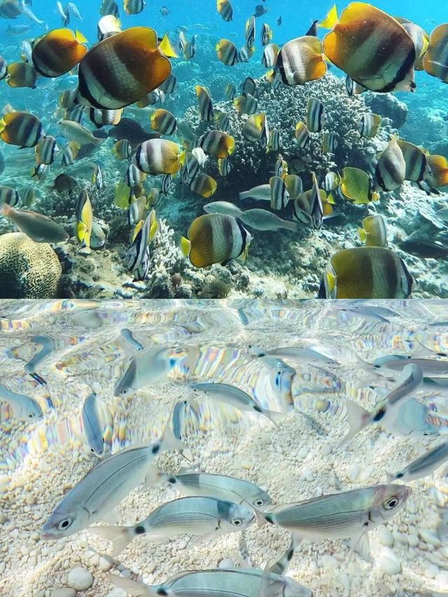 長島灘水療中心：都市喧囂中的靜謐桃源