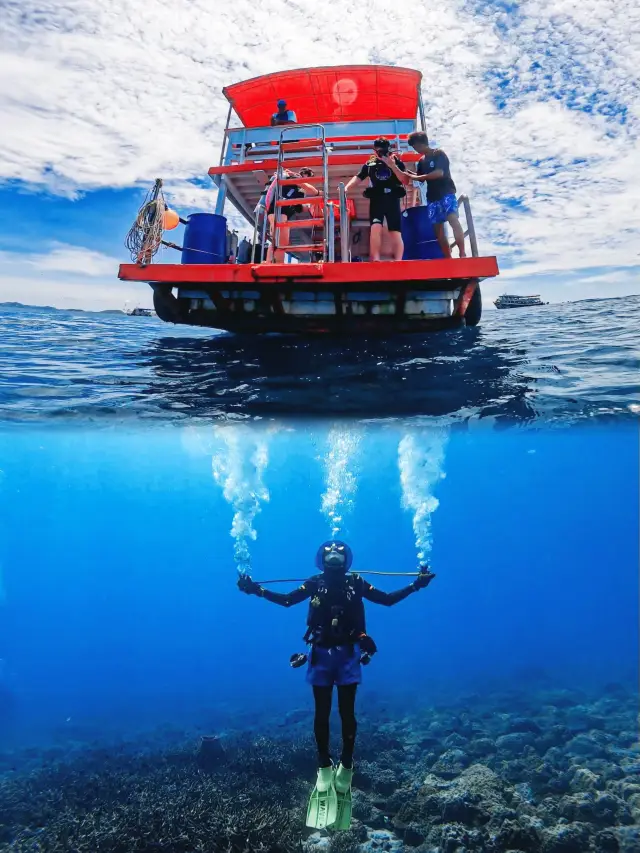 Pattaya Diving Adventure: Your Essential Guide to Unlocking a Dreamy Underwater Paradise