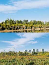 《黃河河套文化旅遊區：巴彥淖爾的寶藏之旅》