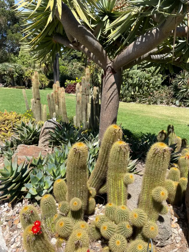 An 8-Day Australian Adventure This Winter Break: Make the Most of It!