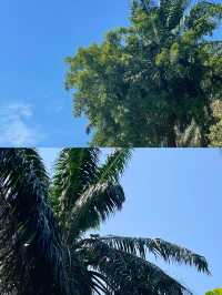 馬來西亞新山｜南洋風情的寶藏之地，等你來探！
