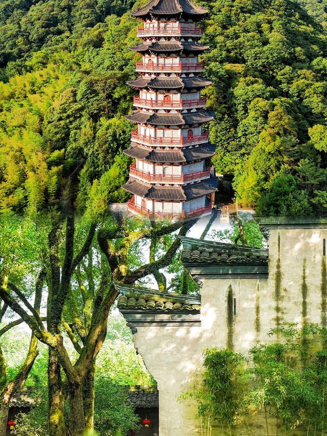 嚟寧波唔知去邊玩？