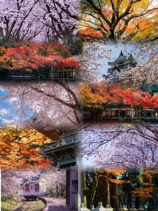 7 Days, 6 Nights Luxury Countryside Tour of Fukuoka, Japan
