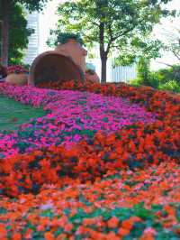 《桂灣公園的花海盛景》