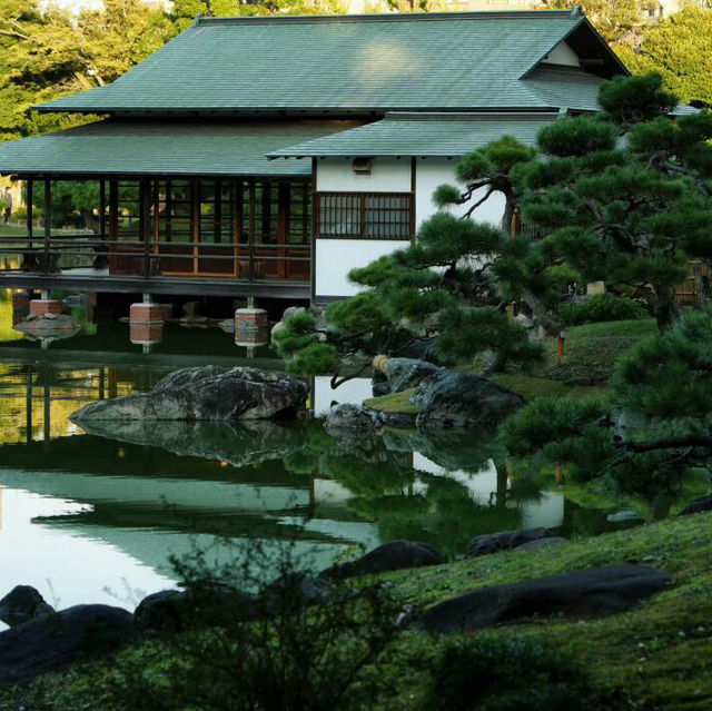 東京·清澄庭園 ：走過清澄白河的日式浪漫💕