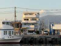 昭和感深海沼津港灣一日遊 新鮮海鮮滿喫！#東京近郊