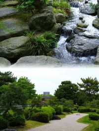 福岡大濠公園日本庭園︱邂逅和風詩意之境