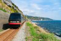 2025伊豆河津櫻賞花旅行攻略（交通看點）