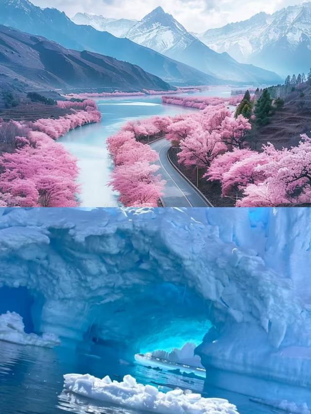 3月的林芝，真的是人間理想。