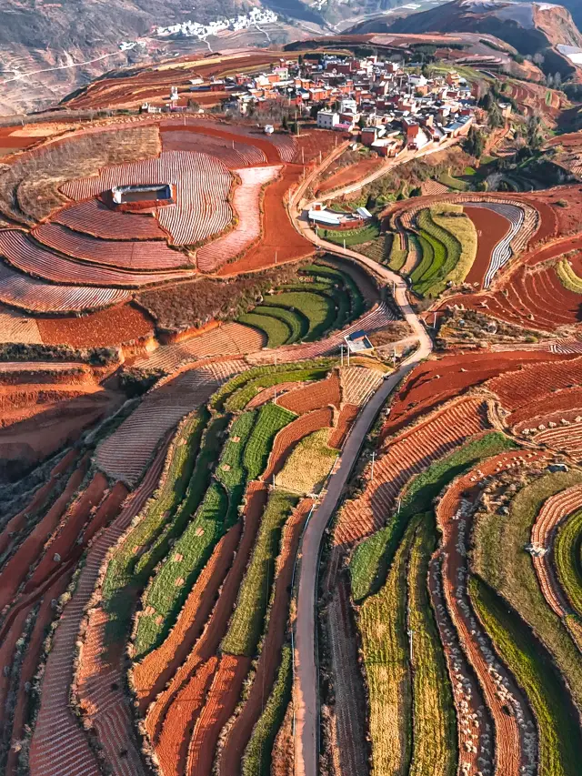 2025 Southeast Yunnan Rape Flower Off-the-Beaten-Track Itinerary