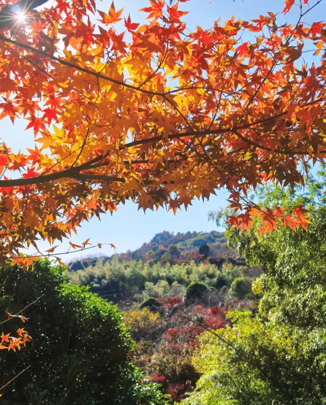 Dongshan Village | A Secluded Paradise Hidden in Time